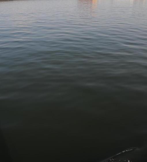 Студия Стандарт Вид на Море, Residentie Oosterschelde