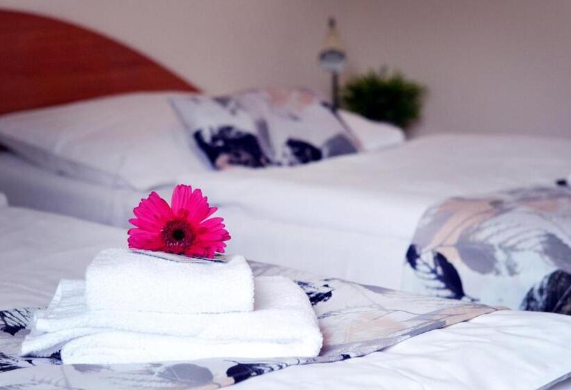 اتاق استاندارد, S Centrum