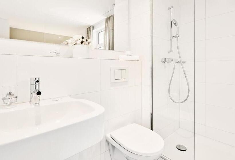 スタンダードシングルルーム, Schafli