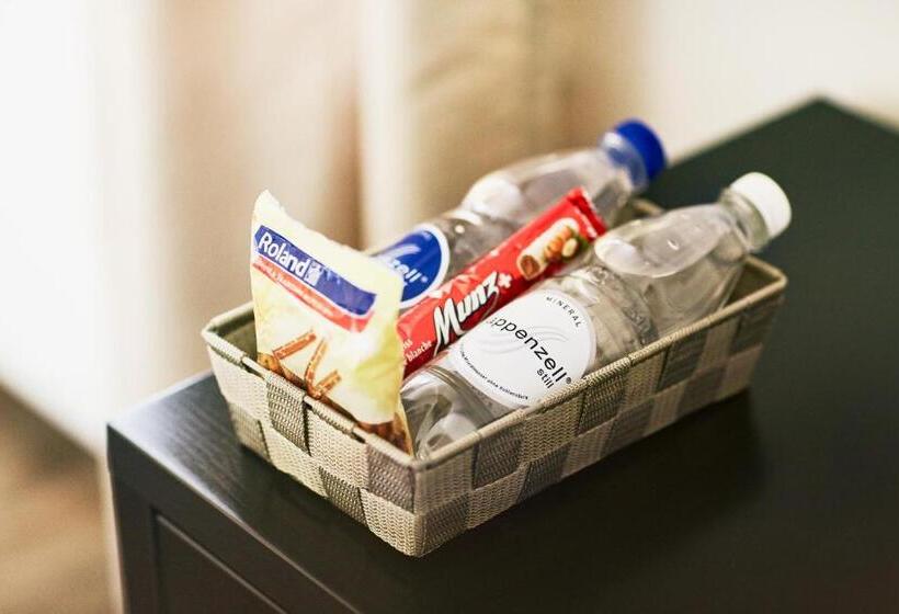 スタンダードシングルルーム, Schafli