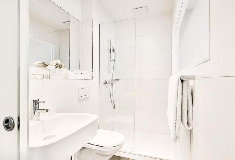 スタンダードルーム, Schafli