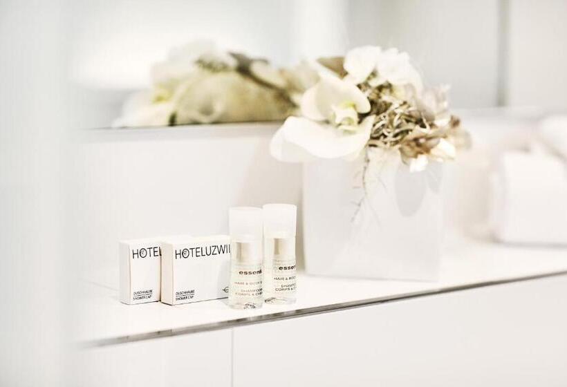 スタンダードルーム, Schafli