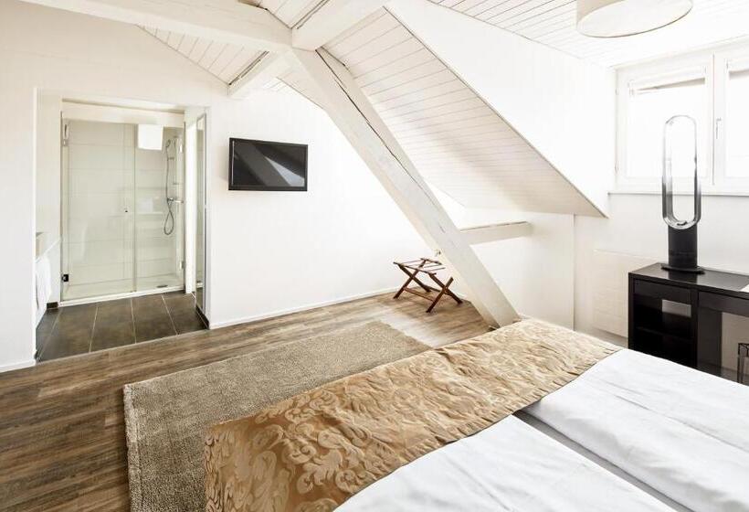 スタンダードルーム, Schafli