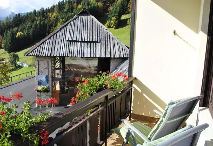 Camera Standard Singola con Balcone, Bed&breakfast Lausegger