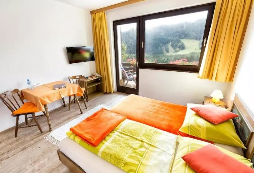 Camera Standard Singola con Balcone, Bed&breakfast Lausegger
