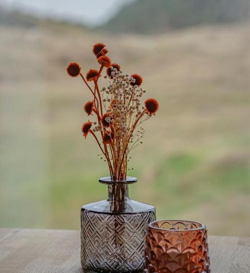 דירה בת חדר שינה 1 עם נוף, Strandhotel Camperduin