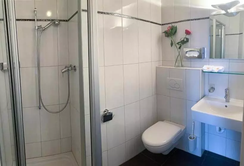 キングサイズベッドのスタンダードルーム, Swiss Hotel La Couronne
