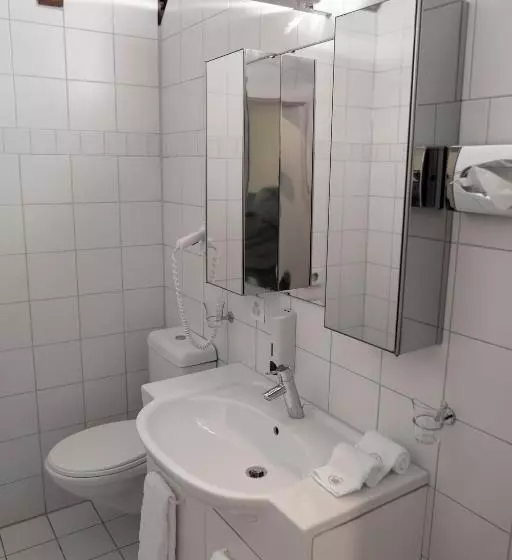 キングサイドベッドのスタンダードワンルーム, Swiss Hotel La Couronne