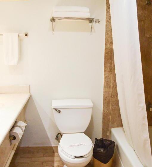 غرفة قياسية سرير كينج, Armida Express