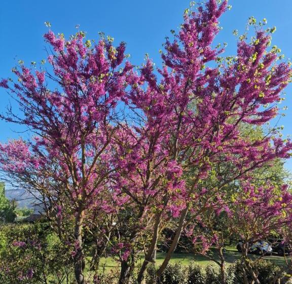 فيلا ديلوكس غرفة نوم, 1560 Domaine Des Cinq Jardins A Magical And Authentic Mansion