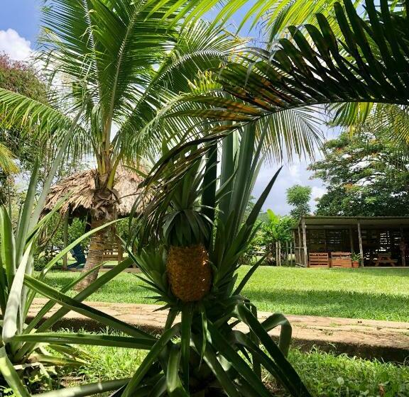 غرفة قياسية, Mana Kai Camping & Cabins