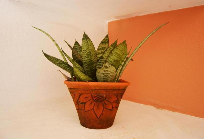 标准间, Pousada La Luna