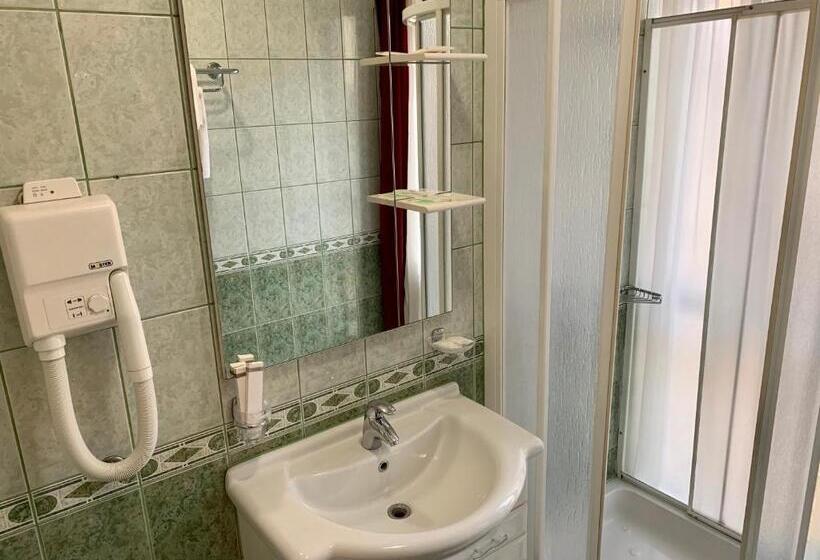 اتاق استاندارد, Brkic