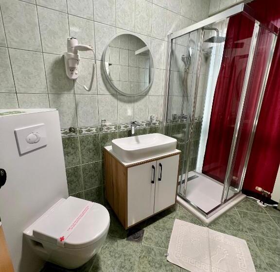 اتاق سوپریور یک تخته, Brkic