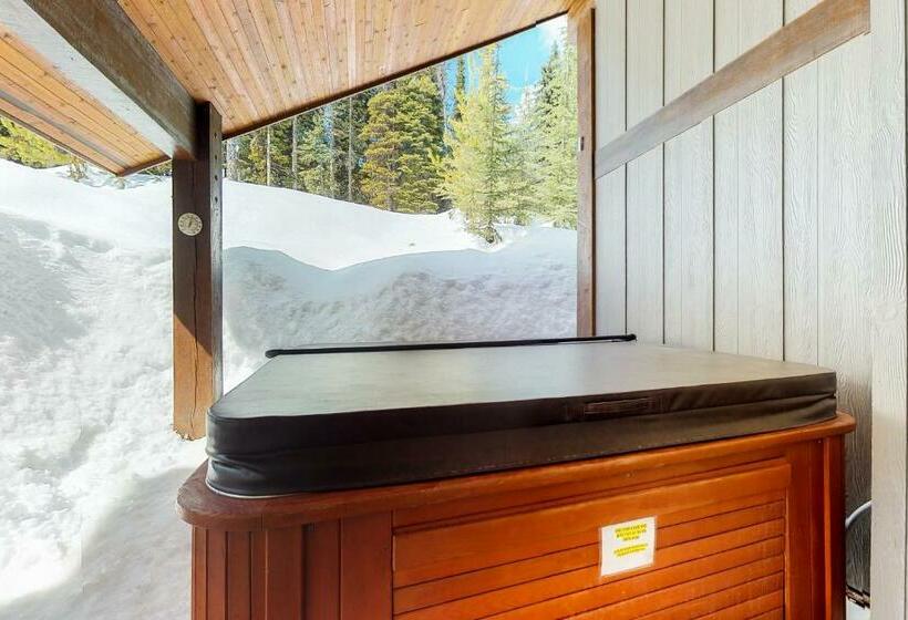 דירת חדר, South Face B