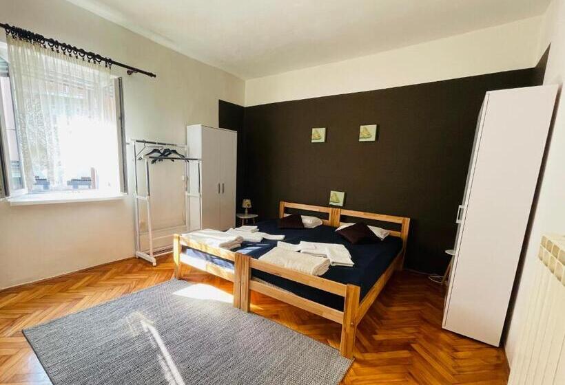 اتاق استاندارد با سرویس بهداشتی مشترک, House365