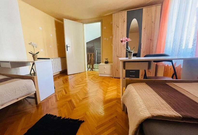 اتاق استاندارد با سرویس بهداشتی مشترک, House365