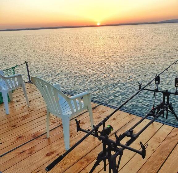 Студия Стандарт, Stég Stúdió Stb.