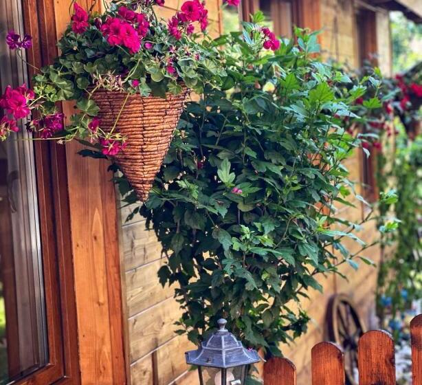 اتاق استاندارد با چشم‌انداز باغ, Casa Rosca