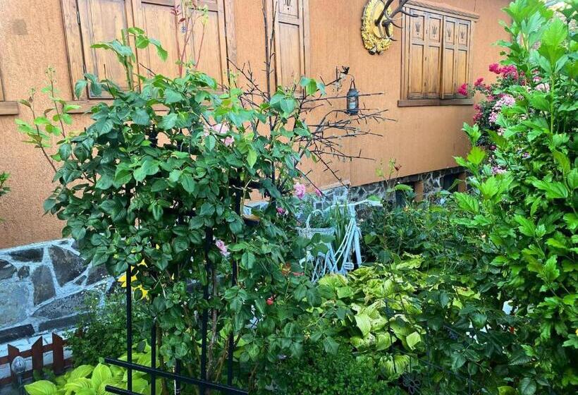 اتاق استاندارد با چشم‌انداز باغ, Casa Rosca