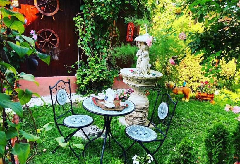 اتاق استاندارد یک نفره, Casa Rosca