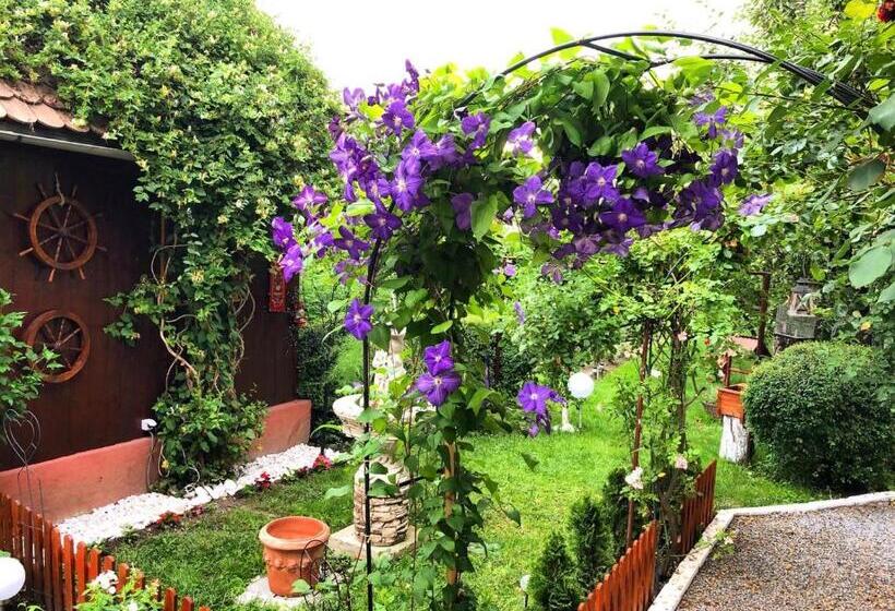 اتاق استاندارد یک نفره, Casa Rosca