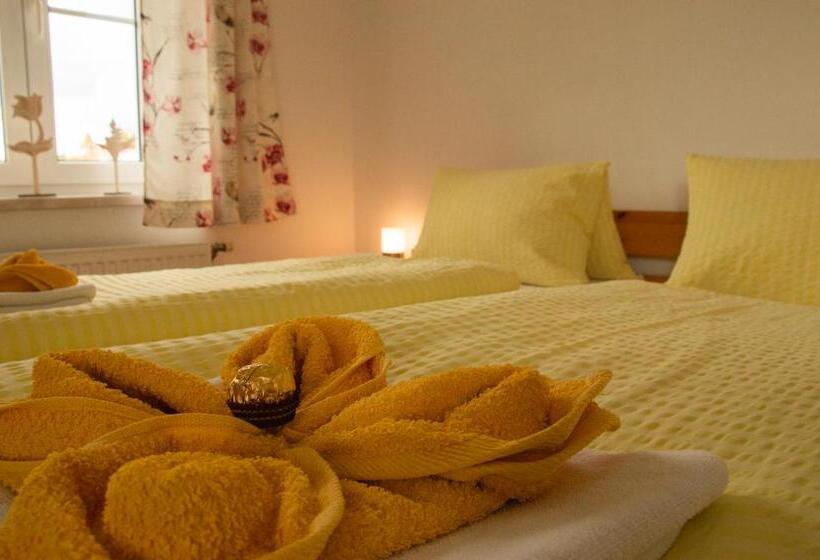 Standard room with outdoor bath, Pension Hrnjic