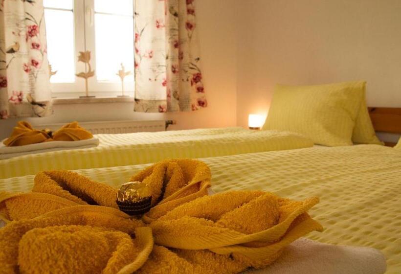 Standard room with outdoor bath, Pension Hrnjic