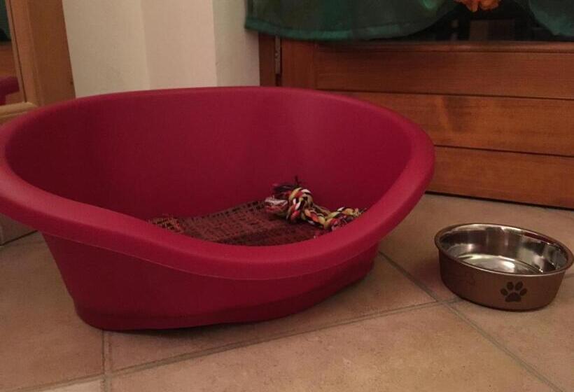 스탠다드 룸, La Stua