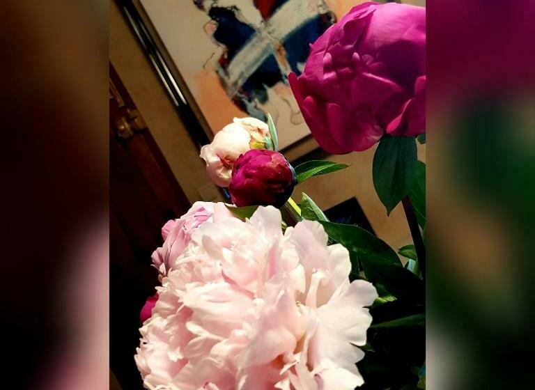 スタンダードルーム, Om Sleeping B&b