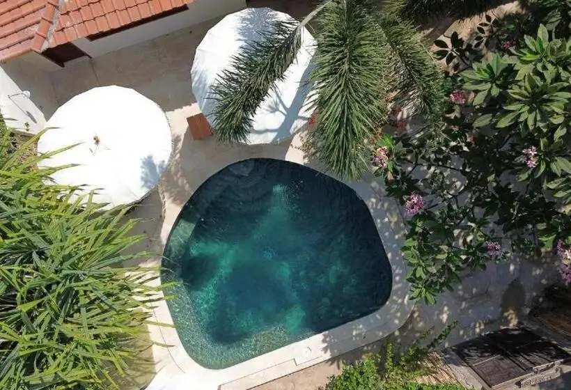 ویلای یک اتاق خوابه با استخر شنا, Buena Vibra Bungalows