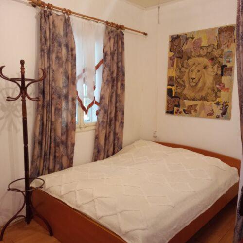 Номер Стандарт, Misu Háza