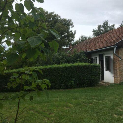 Семейный Номер, Misu Háza