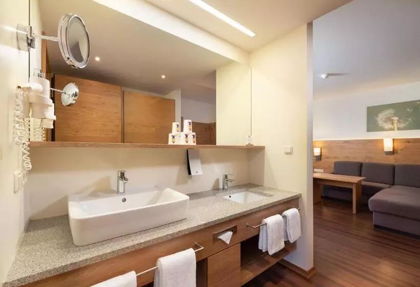 آپارتمان سوپریور 2 خوابه, Familotel Schreinerhof