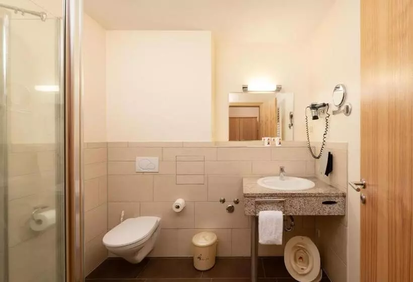 اتاق استاندارد با بالکن, Familotel Schreinerhof