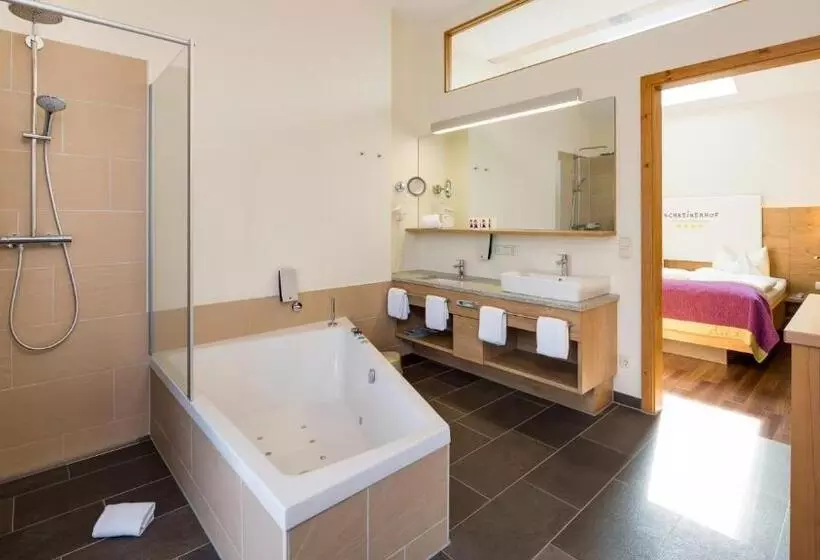 آپارتمان سوپریور 1 خوابه, Familotel Schreinerhof