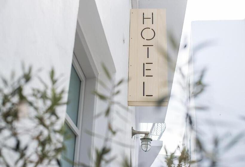 غرفة قياسية ثلاثية, Argonauta