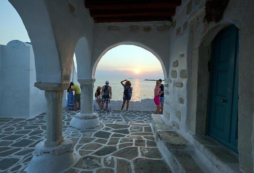 جناح سرير كينج, Argonauta