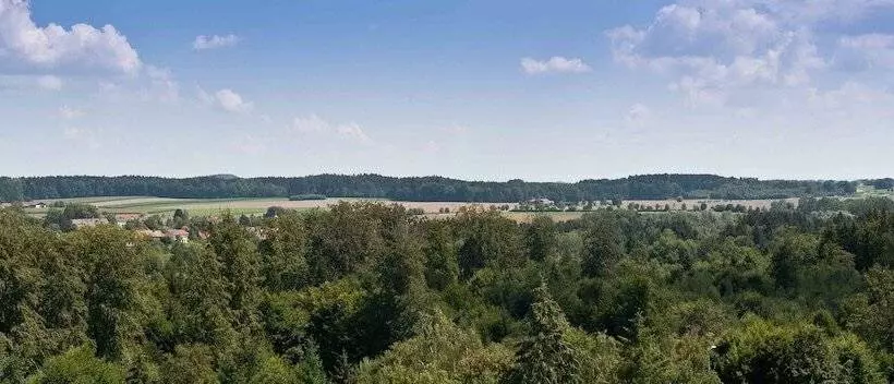 اتاق استاندارد, Bildungsblick