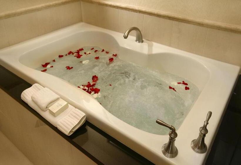 سوئیت جونیور با چشمانداز, Luxury Suites International At The Signature