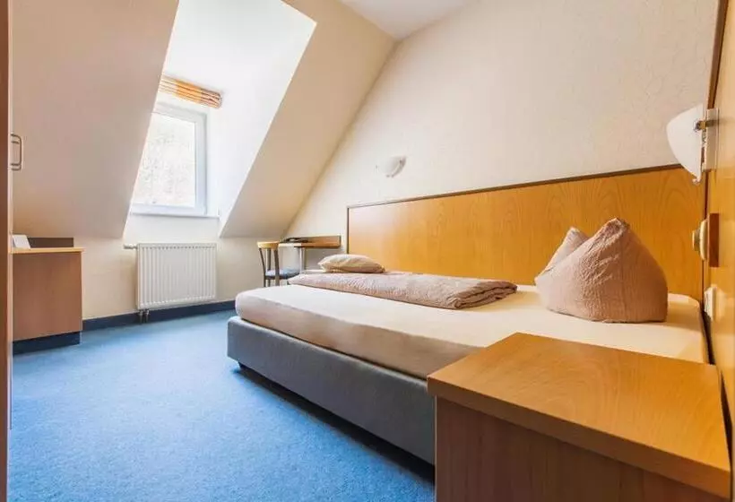 Habitación Estàndard Individual, Wagners Seehotel Schleusingen