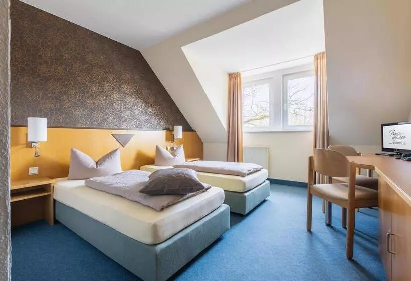 Habitació Estàndard, Wagners Seehotel Schleusingen