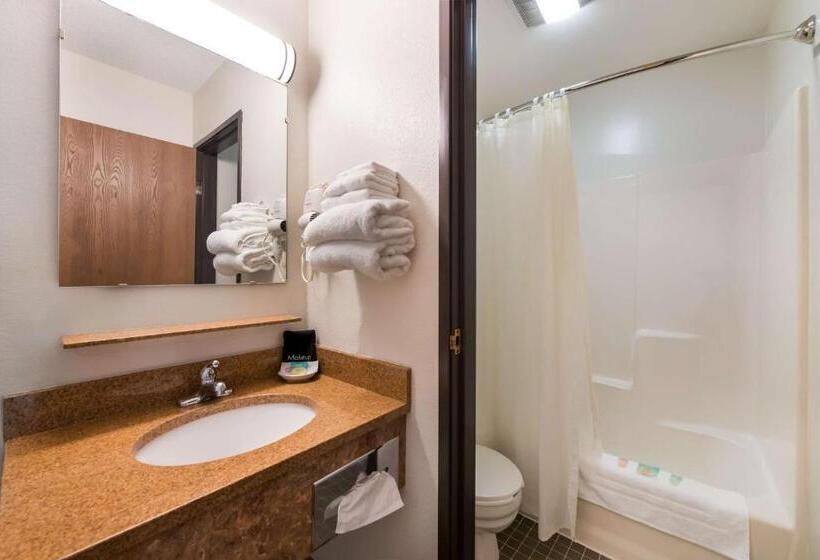 Номер Стандарт, Surestay Hotel By Best Western Spicer