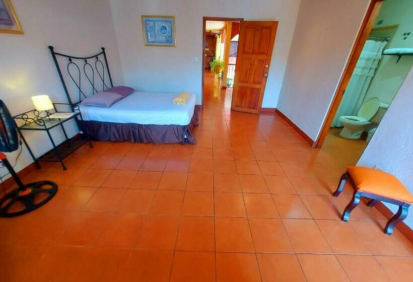 اتاق استاندارد, Hostal Lolita S Boutique