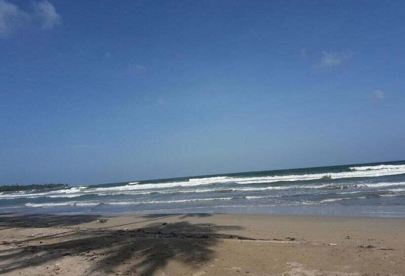 デラックストリプルルーム, Dive Beach Palace