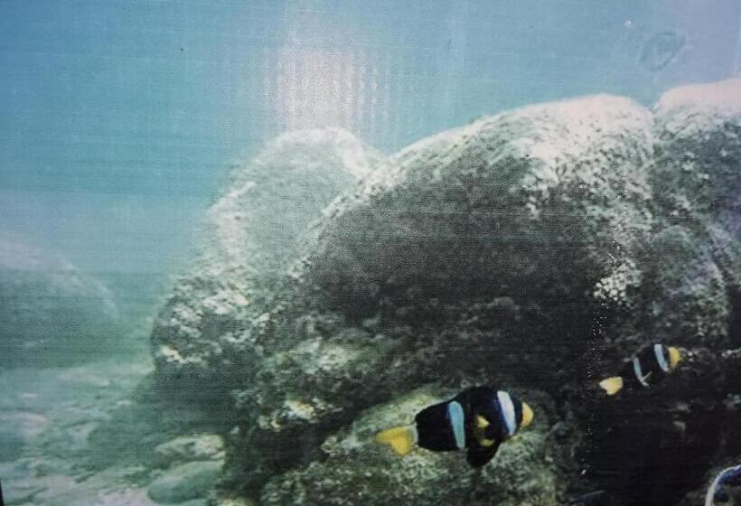 デラックストリプルルーム, Dive Beach Palace