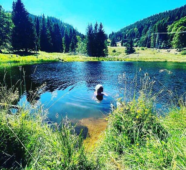 标准间, Sporthostel Rössle