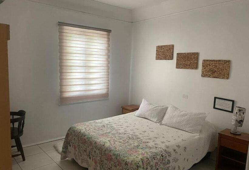 StandaardKamer, Palermo Quintero