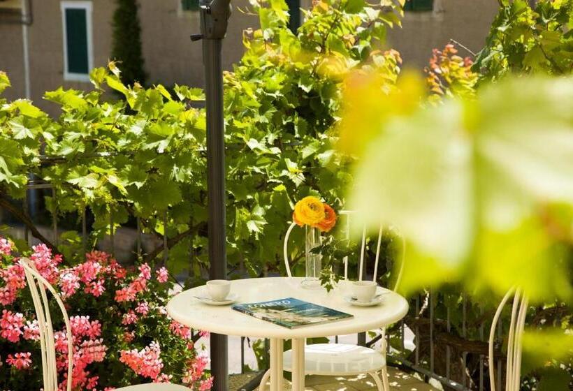 اتاق لوکس, Daniela Camere