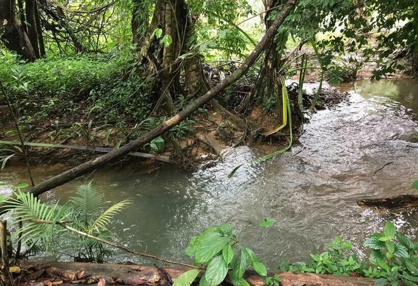 标准间, Khao Sok Homestay Resort